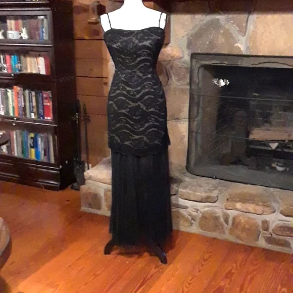 Lillie Rubin lace & chiffon formal dress - Picture 2 of 8